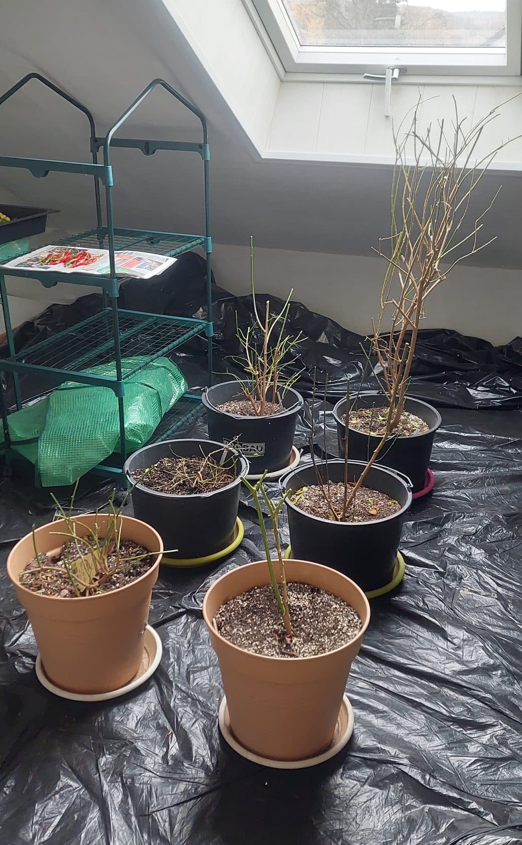 Saisonende 2022 und Saisonbeginn 2023